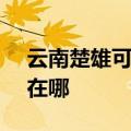 云南楚雄可提供SKG饮水设备维修服务地址在哪