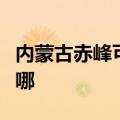 内蒙古赤峰可提供欧科榨汁机维修服务地址在哪