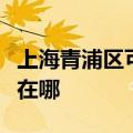 上海青浦区可提供艾美特榨汁机维修服务地址在哪
