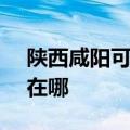 陕西咸阳可提供SKG饮水设备维修服务地址在哪