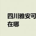 四川雅安可提供SKG饮水设备维修服务地址在哪