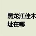黑龙江佳木斯可提供SKG榨汁机维修服务地址在哪