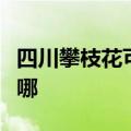 四川攀枝花可提供康佳榨汁机维修服务地址在哪