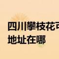 四川攀枝花可提供艾美特空气净化器维修服务地址在哪