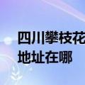 四川攀枝花可提供SKG空气净化器维修服务地址在哪