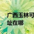 广西玉林可提供SKG空气净化器维修服务地址在哪