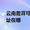 云南普洱可提供SKG空气净化器维修服务地址在哪