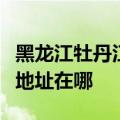 黑龙江牡丹江可提供奔腾空气净化器维修服务地址在哪