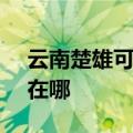 云南楚雄可提供SKG健身器材维修服务地址在哪