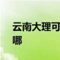云南大理可提供SKG按摩器维修服务地址在哪