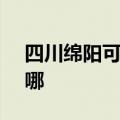 四川绵阳可提供SKG按摩器维修服务地址在哪