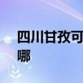 四川甘孜可提供SKG剃须刀维修服务地址在哪