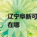 辽宁阜新可提供SKG健身器材维修服务地址在哪