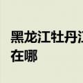 黑龙江牡丹江可提供康佳电吹风维修服务地址在哪