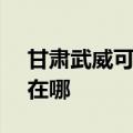 甘肃武威可提供SKG健身器材维修服务地址在哪