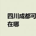 四川成都可提供SKG健身器材维修服务地址在哪