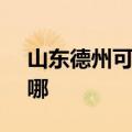 山东德州可提供SKG按摩器维修服务地址在哪