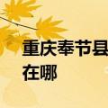 重庆奉节县可提供SKG按摩器维修服务地址在哪