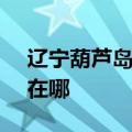 辽宁葫芦岛可提供SKG按摩器维修服务地址在哪