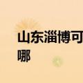 山东淄博可提供SKG剃须刀维修服务地址在哪