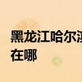 黑龙江哈尔滨可提供红心足浴盆维修服务地址在哪