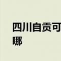 四川自贡可提供NEC投影机维修服务地址在哪