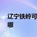 辽宁铁岭可提供NEC投影机维修服务地址在哪