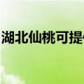 湖北仙桃可提供宏碁投影机维修服务地址在哪