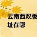 云南西双版纳可提供NEC投影机维修服务地址在哪