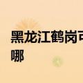 黑龙江鹤岗可提供纽曼投影机维修服务地址在哪
