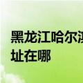 黑龙江哈尔滨可提供卡西欧投影机维修服务地址在哪