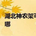 湖北神农架可提供理光投影机维修服务地址在哪