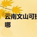 云南文山可提供富可视投影机维修服务地址在哪
