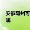 安徽亳州可提供aigo投影机维修服务地址在哪