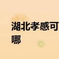 湖北孝感可提供aigo投影机维修服务地址在哪