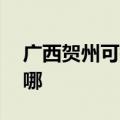 广西贺州可提供aigo投影机维修服务地址在哪