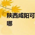 陕西咸阳可提供aigo投影机维修服务地址在哪