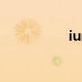 iuni官方网站（IUNI）