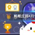 今天的小鸡宝宝测试你的答案:几维鸟今天的答案4月13日