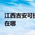 江西吉安可提供理光激光打印机维修服务地址在哪