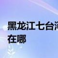 黑龙江七台河可提供理光复印机维修服务地址在哪