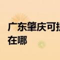 广东肇庆可提供富士施乐复印机维修服务地址在哪