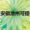 安徽池州可提供理光复印机维修服务地址在哪