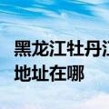 黑龙江牡丹江可提供富士施乐复印机维修服务地址在哪