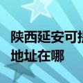 陕西延安可提供爱普生多功能一体机维修服务地址在哪