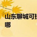 山东聊城可提供爱普生扫描仪维修服务地址在哪