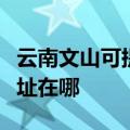 云南文山可提供爱普生针式打印机维修服务地址在哪