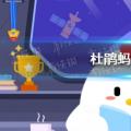今天的小鸡宝宝测试你的答案:Duckoo小鸡庄园答案4月17日