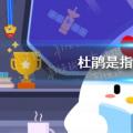 今天的小鸡宝宝考你答案:布谷鸟是指布谷鸟吗？小课堂今日答案417
