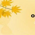 oppo官网（OPPO）